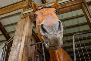 152 Warsaw Rd, Frenchtown, NJ 08825 - Photo 61