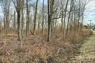 147A Rocktown Rd, Ringoes, NJ 08551 - Photo 45