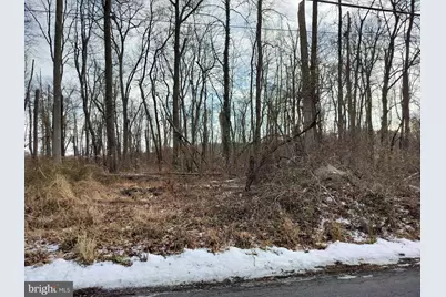 147 Rocktown Road, Ringoes, NJ 08551 - Photo 39