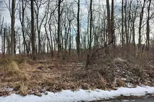 147A Rocktown Rd, Ringoes, NJ 08551 - Photo 39