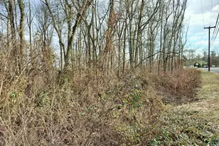 147A Rocktown Rd, Ringoes, NJ 08551 - Photo 47