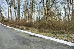 147A Rocktown Rd, Ringoes, NJ 08551 - Photo 49