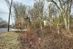 147A Rocktown Rd, Ringoes, NJ 08551 - Photo 43