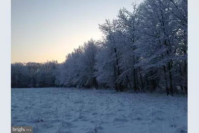 37 Barbertown Point Breeze Road #3 LOT, Frenchtown, NJ 08825 - Photo 37