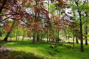 32 Cherryville Hollow Rd, Flemington, NJ 08822 - Photo 21