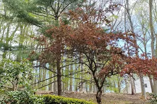 32 Cherryville Hollow Rd, Flemington, NJ 08822 - Photo 11