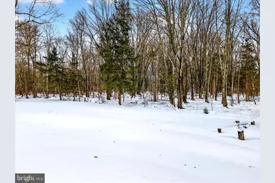 11 Milltown Road, Stockton, NJ 08559 - Photo 37