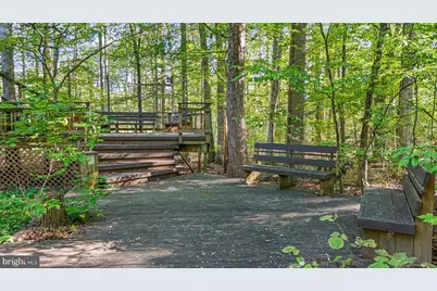 74 Stony Brook Road, Hopewell, NJ 08525 - Photo 37