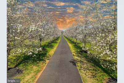 114 Federal Twist Road, Stockton, NJ 08559 - Photo 71