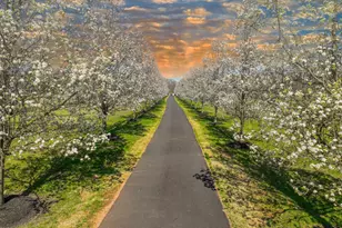 114 Federal Twist Rd, Stockton, NJ 08559 - Photo 71