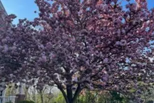 625 Heath Ct, Lambertville, NJ 08530 - Photo 5