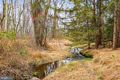 11 Springtown, Flemington, NJ 08822 - Photo 11