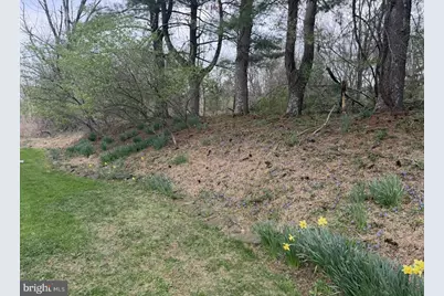 42 Welisewitz Road, Ringoes, NJ 08551 - Photo 9