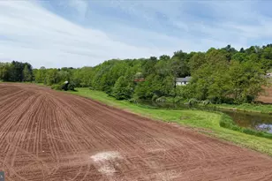 441 Pittstown Rd, Franklin Township, NJ 08867 - Photo 11