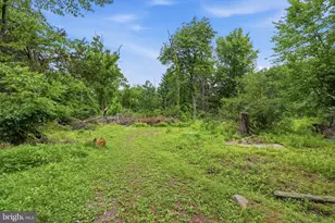136 Rocktown-Lamb Rd, Lambertville, NJ 08530 - Photo 101