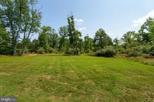 167 Tumble Idell Rd, Frenchtown, NJ 08825 - Photo 55