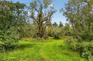 115 Old York Rd, Ringoes, NJ 08551 - Photo 7