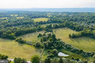 647 County Road 519, Frenchtown, NJ 08825 - Photo 1