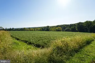78 Rocktown Rd, Ringoes, NJ 08551 - Photo 11