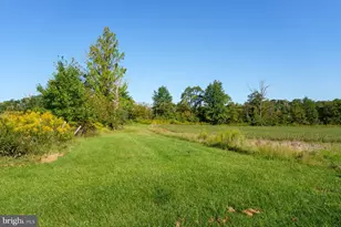 78 Rocktown Rd, Ringoes, NJ 08551 - Photo 5