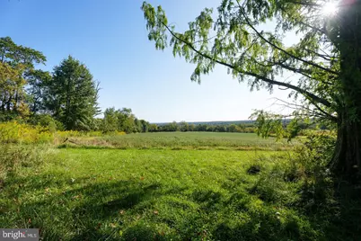 78 Rocktown Road, Ringoes, NJ 08551 - Photo 9