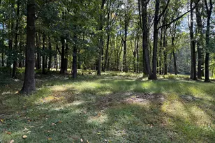 81 Woolf Rd, Milford, NJ 08848 - Photo 11