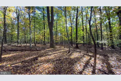 37 Lt Hooper Road, Milford, NJ 08848 - Photo 3