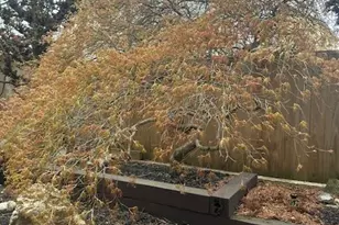 1 Markham Rd, Princeton, NJ 08540 - Photo 39