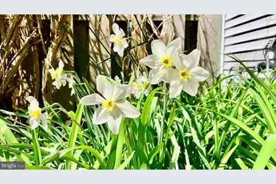 21 Jasmine Ct, Lawrence Township, NJ 08648 - Photo 17