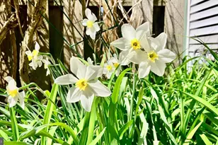 21 Jasmine Ct, Lawrence Township, NJ 08648 - Photo 17