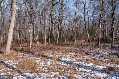 Lot 39 Stony Brook Road, Hopewell Township, NJ 08525 - Photo 7