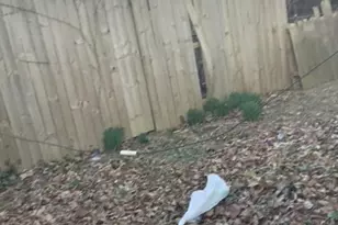 34 Bryn Mawr Ave, Trenton, NJ 08618 - Photo 25