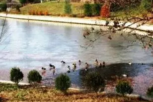 960 Jamestown Rd, Hightstown, NJ 08520 - Photo 1