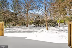 4 Benjamin Rush Ln, Princeton, NJ 08540 - Photo 39