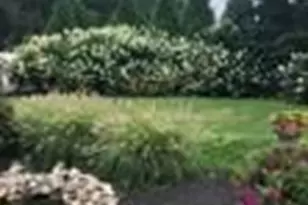 36 Lochatong Rd, Ewing Township, NJ 08628 - Photo 45