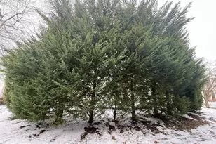 12 Juniper Way, Hamilton Township, NJ 08619 - Photo 3