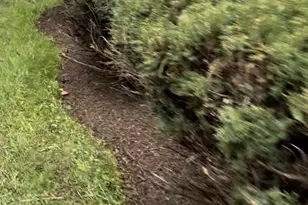 75 Lawn Park Ave, Lawrence Township, NJ 08648 - Photo 35