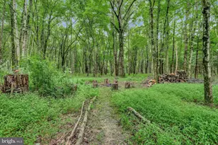 10 Crestview Dr, Hopewell Township, NJ 08525 - Photo 45
