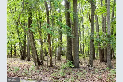 1 Filmore Road, Millstone Township, NJ 08510 - Photo 23