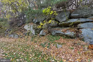 97 Continental Rd, Morris Plains, NJ 07950 - Photo 51