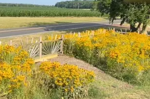 5 Wyckoffs Mills Applegarth, Monroe Township, NJ 08831 - Photo 29