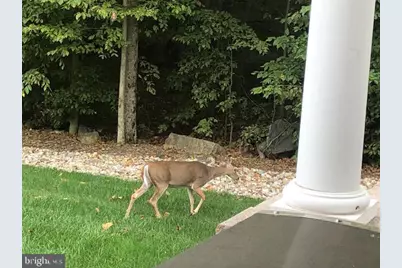 38 Edgemere Drive, Kendall Park, NJ 08824 - Photo 3