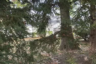 321 Sharon Way, Monroe Township, NJ 08831 - Photo 5