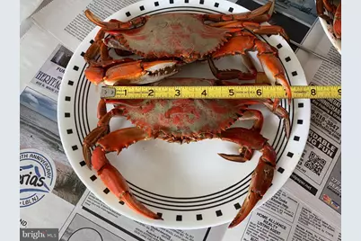 52 Ocean Boulevard, Little Egg Harbor, NJ 08087 - Photo 3