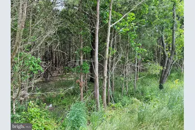 0 Main Street, Little Egg Harbor, NJ 08087 - Photo 3