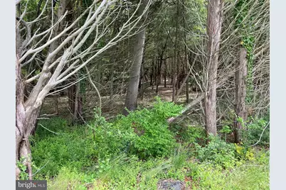 0 Route 9, Little Egg Harbor, NJ 08087 - Photo 9