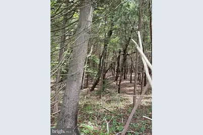 0 Route 9, Little Egg Harbor, NJ 08087 - Photo 15