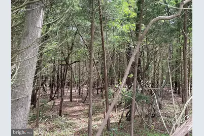 0 Route 9, Little Egg Harbor, NJ 08087 - Photo 13