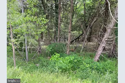 742 Route 9, Little Egg Harbor, NJ 08087 - Photo 9