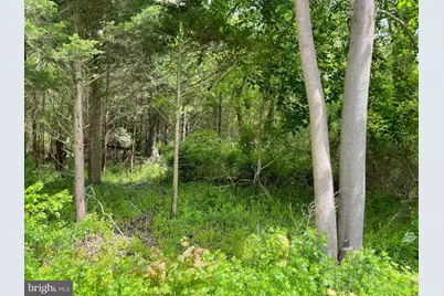 742 Route 9, Little Egg Harbor, NJ 08087 - Photo 5